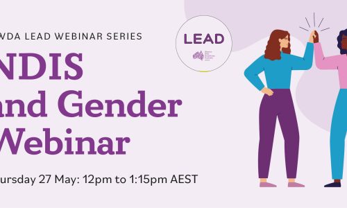 Light purple background, dark purple heading NDIS and Gender Webinar. Includes an illustration of two women giving each other a high 5.