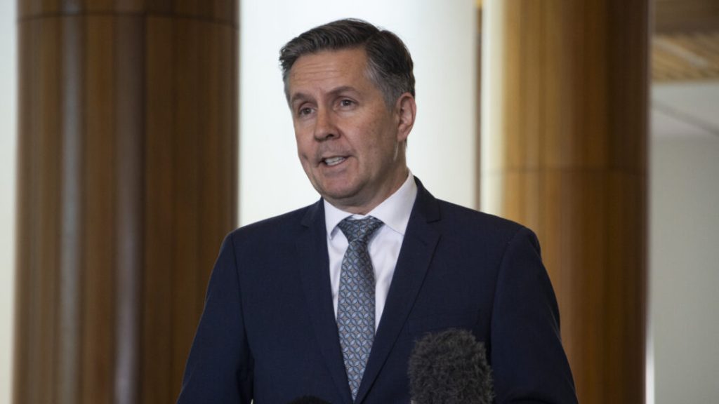 Mark Butler at the National Press Club