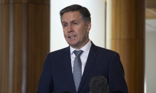 Mark Butler at the National Press Club